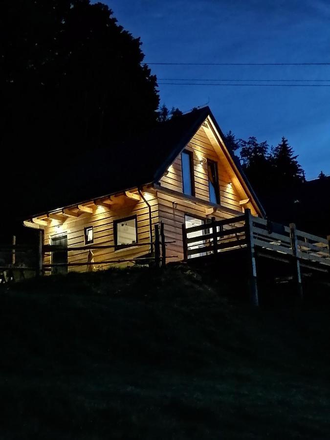 Gorskie Domki W Karkonoszach Z Widokiem 포드고르진 외부 사진