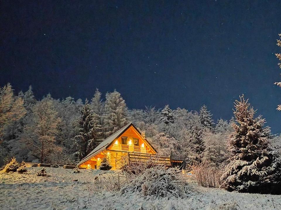 Gorskie Domki W Karkonoszach Z Widokiem 포드고르진 외부 사진
